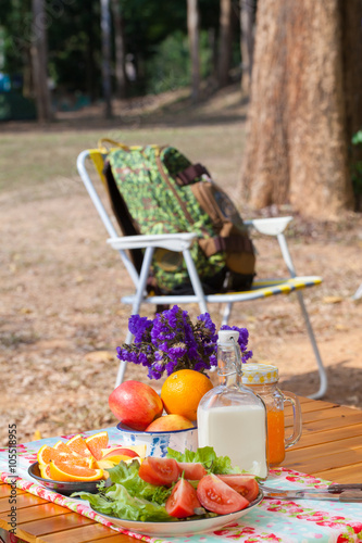 picnic, view of picnic table with fruits, juice and vegetable at the camping area