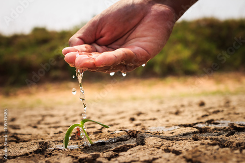 Canvas Print Hand watering the ground barren