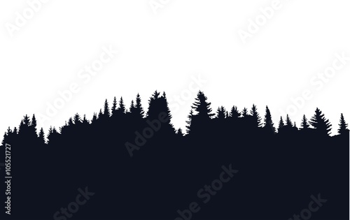 Forest silhouette