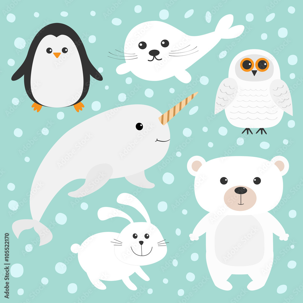 Arctic polar animal set. White bear, owl, penguin, Seal pup baby harp, hare, rabbit, narwhal, unicorn-fish. Kids education cards. Blue background with snow flake. Isolated. Flat design. Arctic polar animal set. White bear, owl, penguin, Seal pup baby harp, hare, rabbit, narwhal, unicorn-fish. Kids education cards. Blue background with snow flake. Isolated. Flat design.