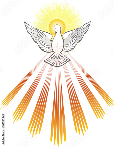 Holy Spirit symbol dove with halo and seven rays of fire, symbols of the gifts of the Holy Spirit. Abstract vector illustration
