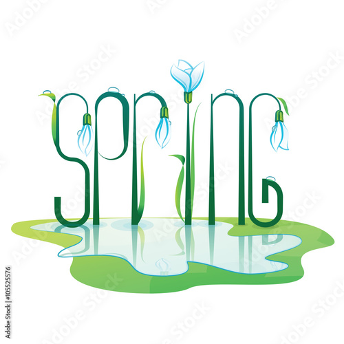 Spring Lettering Design. Color vector illustration.