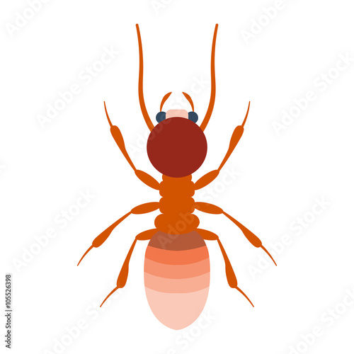 Termite vector illustration. Termite isolated on white background.Termite flat illustration. Termite isolated vector. photo