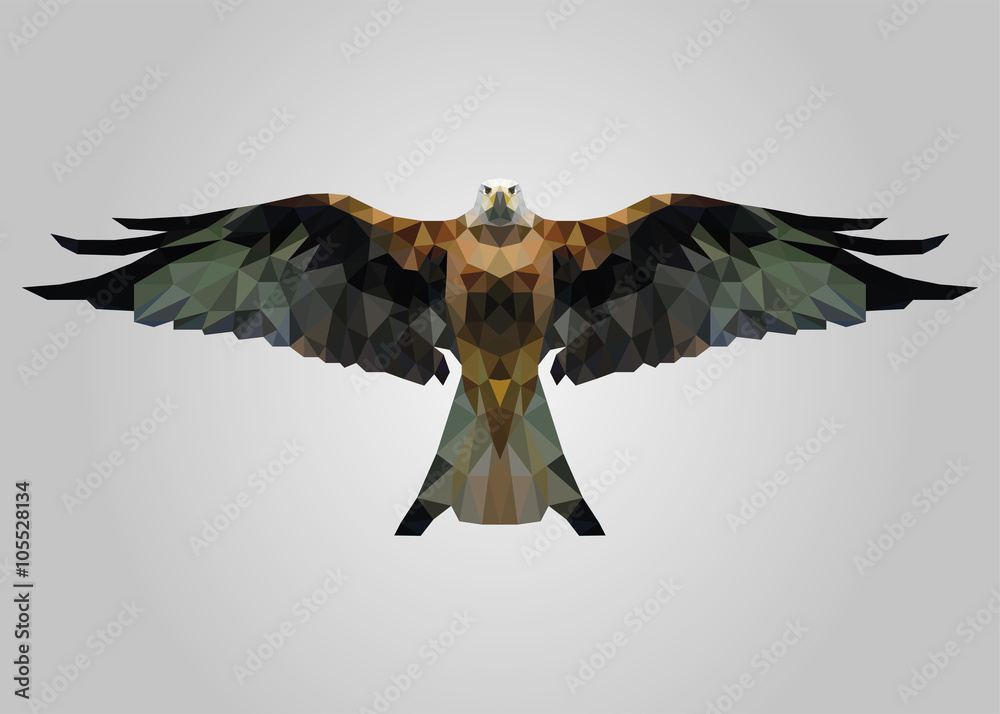 Fototapeta premium Eagle bird flying free with wide open wings and looking vector