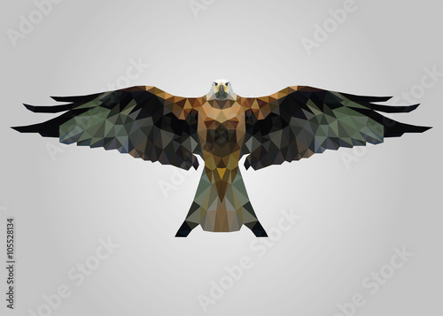 Eagle bird flying free with wide open wings and looking vector