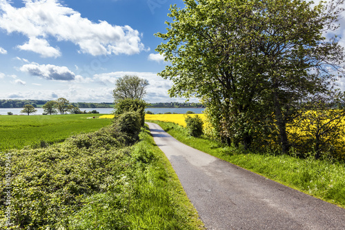Rapsblüte an der Schlei