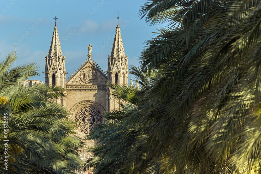 La Seu, Palma de Mallorca Cathedral front facade, gothic mediterranean architecture among palm trees La Seu, Palma de Mallorca Cathedral front facade, gothic mediterranean architecture among palm trees