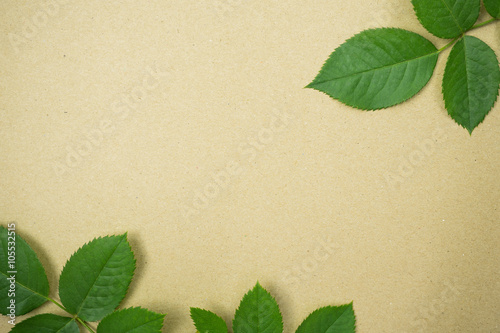 green leaves on brown craft paper for natural concept background 