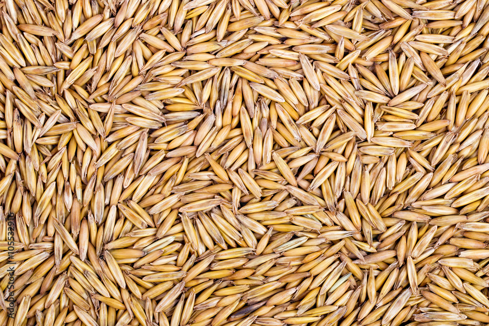 Crude closeup of oats