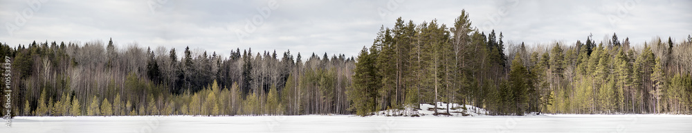panorama of a winter forest on the banks of a snow-covered lake