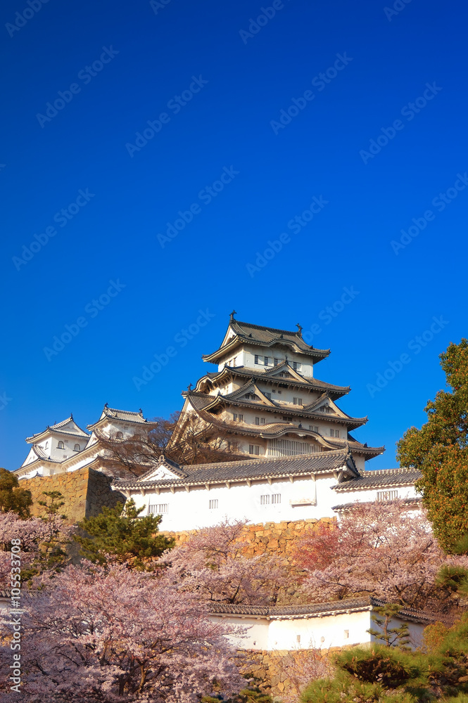 Cherry Blossoms at Himeji castle in Himeji, Kobe, Japan Cherry Blossoms at Himeji castle in Himeji, Kobe, Japan