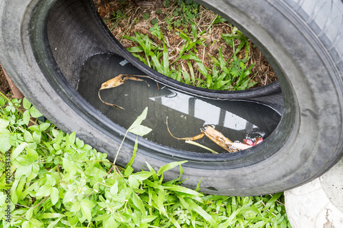 Used tires potentially store stagnant water and mosquitoes breeding ground photo