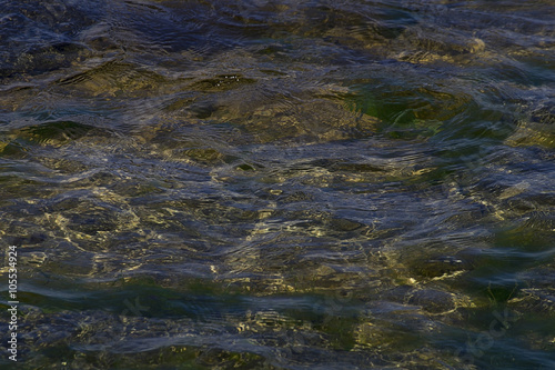 The seabed algae through the water