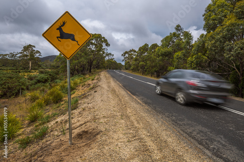 Speed car on the road with deer crossing sign, Austalian country road.