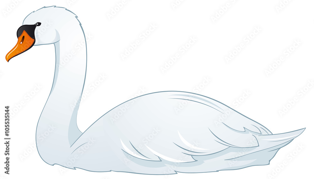 Naklejka premium Beautiful Swan