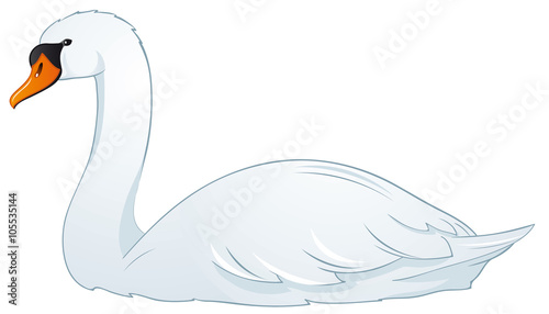 Beautiful Swan