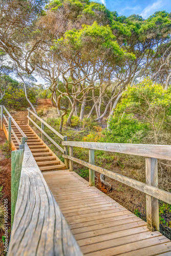 Wooden stairs in the tropical forest to Ben Boyds Tower close to Eden in Merimbula Sapphire Coast NSW Australia. Tower is located at Red Point  on the southern headland of Twofold Bay.