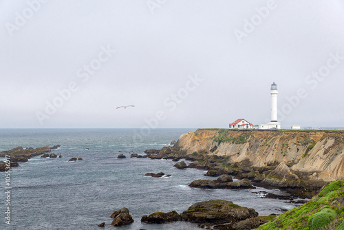 lighthouse on the coast of the Pacific © Ekaterina Elagina