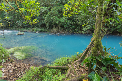 A view of the beautiful blue river between the jungle