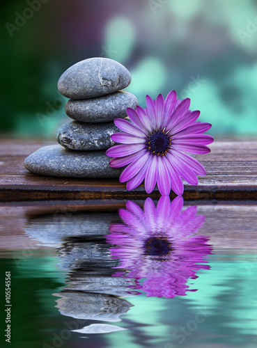 belleza y cuidado personal