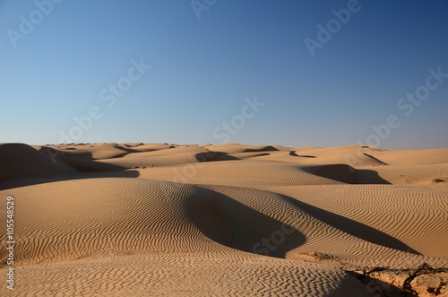 Rippled sand dunes India desert photo