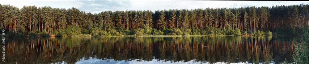 pine forest reflecting in the water
