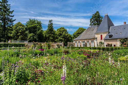 Garden in Cheverny Castle. Cheverny village, France. photo