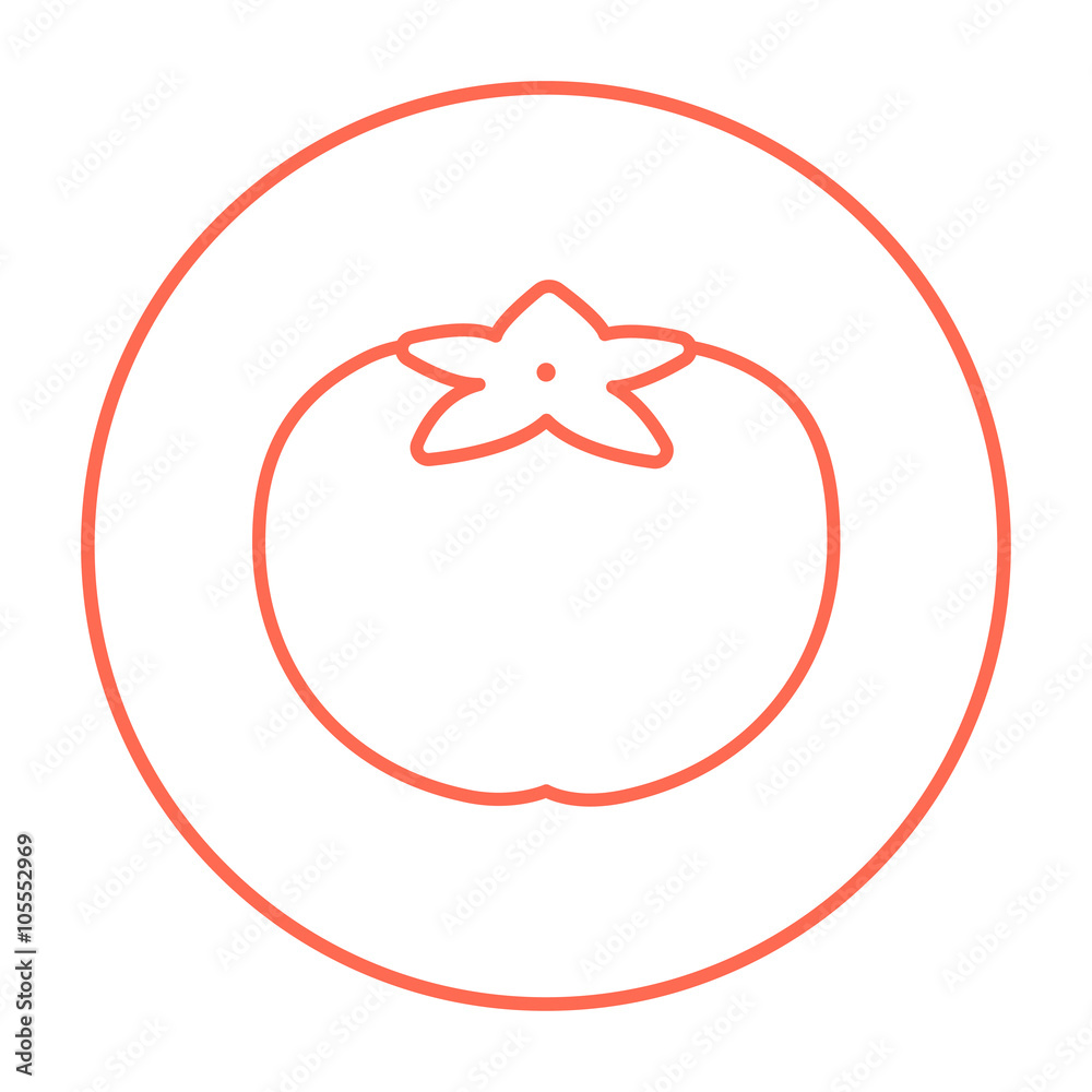 Fototapeta premium Tomato line icon.