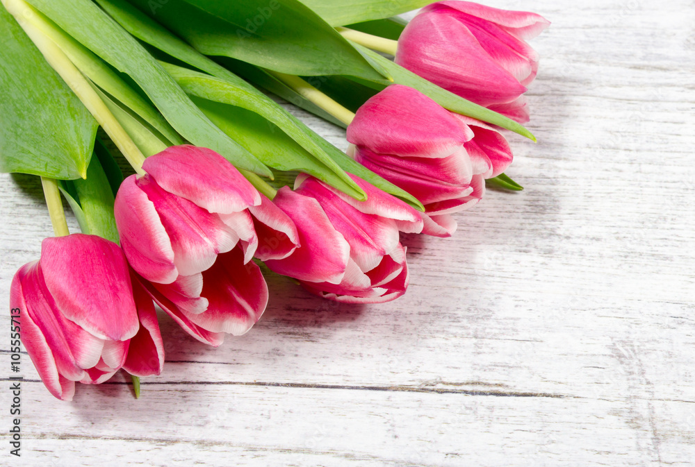 Tulips on wood background. Space for text. Tulips on wood background. Space for text.