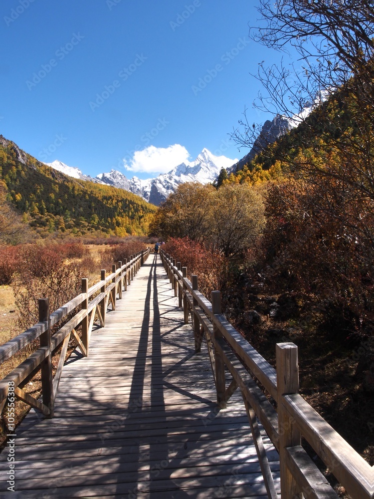  The Autumn at Yading Nature Reserve in Daocheng County ,China