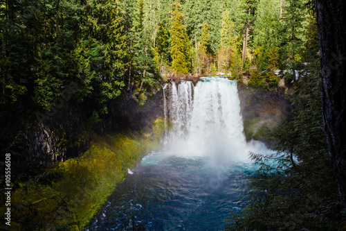 Koosah Falls on the McKenzie River in Oregon