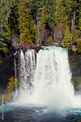 Koosah Falls on the McKenzie River in Oregon