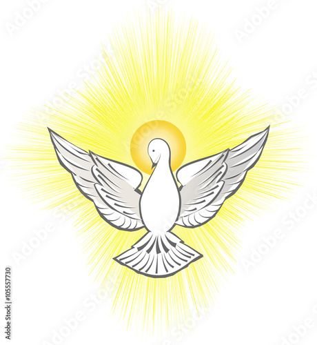 Holy Spirit symbol, dove with halo and light rays