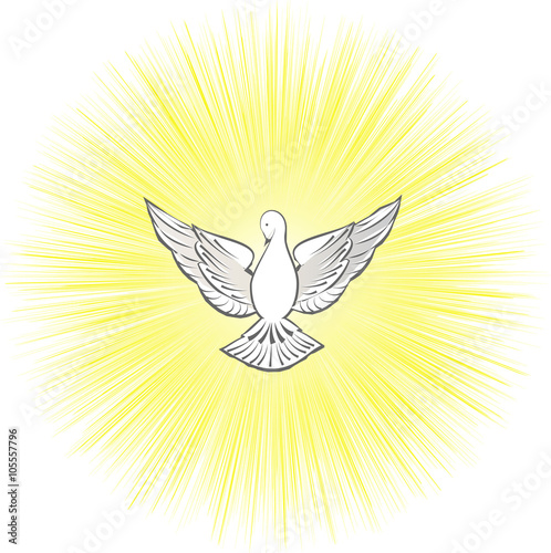 Holy Spirit symbol, dove with halo and light rays