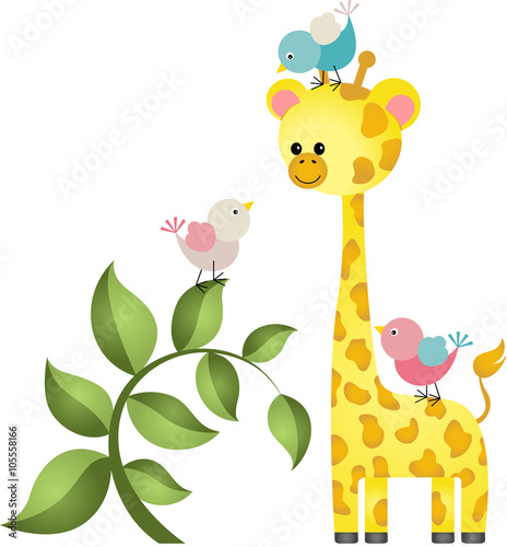 Cute giraffe with three birds  