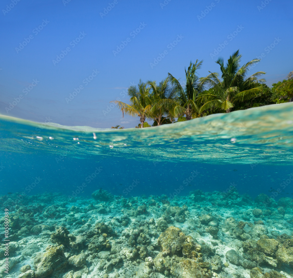 Naklejka premium Underwater coral reef with tropical island