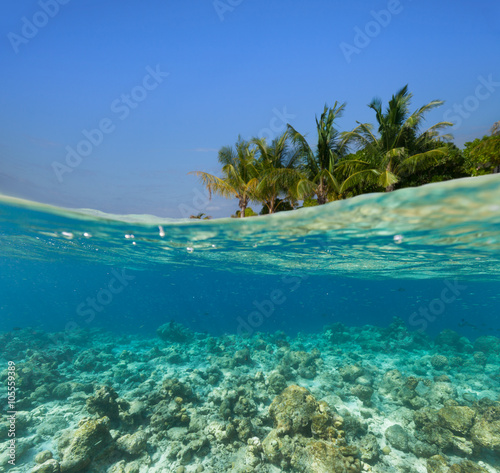 Underwater coral reef with tropical island