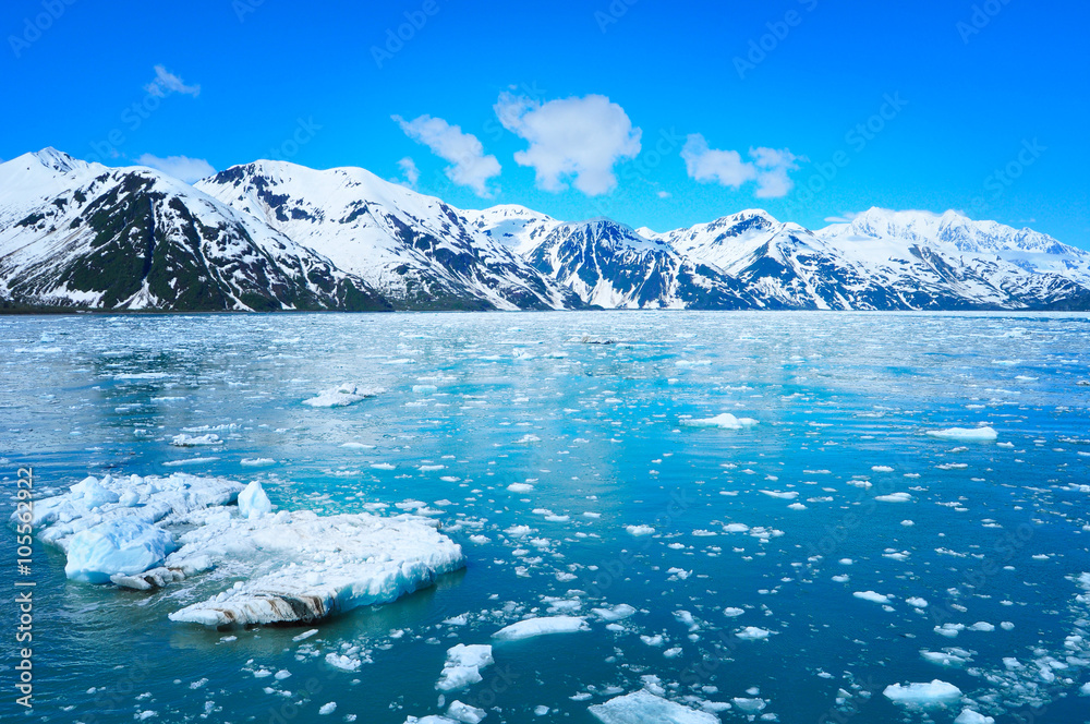 Glacier and beautiful nature of Alaska