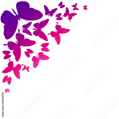 Wallpaper Mural butterflies design Torontodigital.ca
