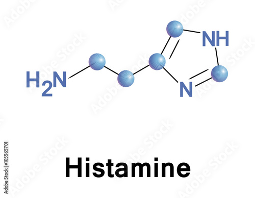 Histamine organic neurotransmitter.