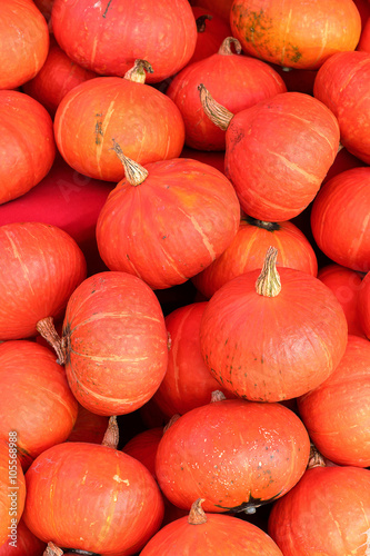Japanese pumpkin at a market