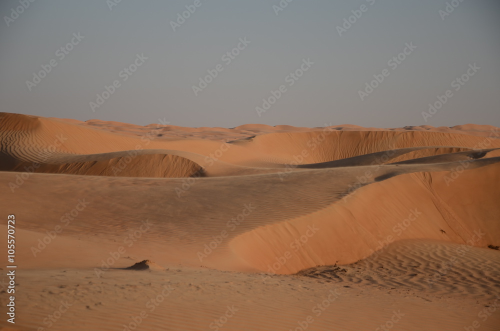 Arabian Sand Dunes