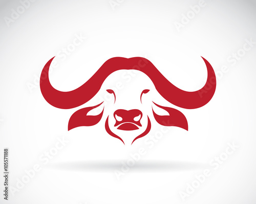 Vector image of an buffalo head on white background