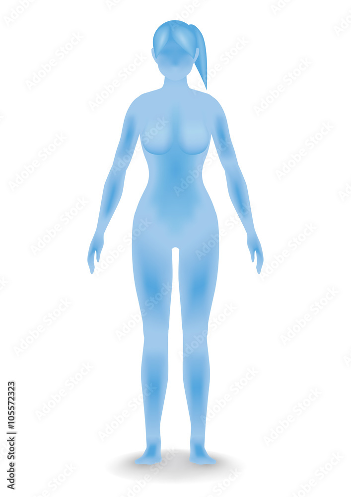 woman body silhouette, vector illustration woman body silhouette, vector illustration