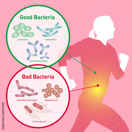 running woman silhouette and Good Bacteria and Bad Bacteria, enteric bacteria, Intestinal flora, Gut flora, probiotics, image illustration