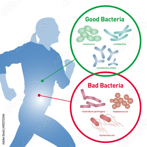 running woman silhouette and Good Bacteria and Bad Bacteria, enteric bacteria, Intestinal flora, Gut flora, probiotics, image illustration photo