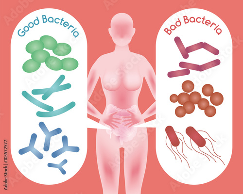 Woman silhouette and Good Bacteria and Bad Bacteria, enteric bacteria, Intestinal flora, Gut flora, probiotics, image illustration photo