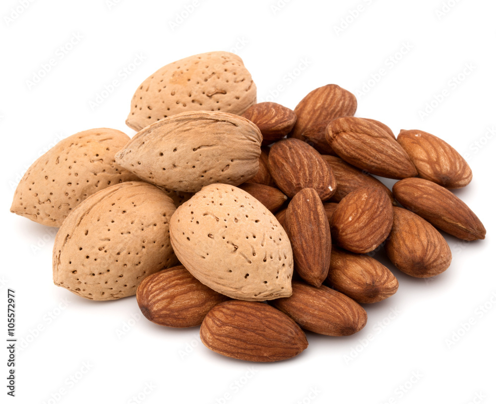 Almond nut in shell and shelled isolated on white background clo Almond nut in shell and shelled isolated on white background clo