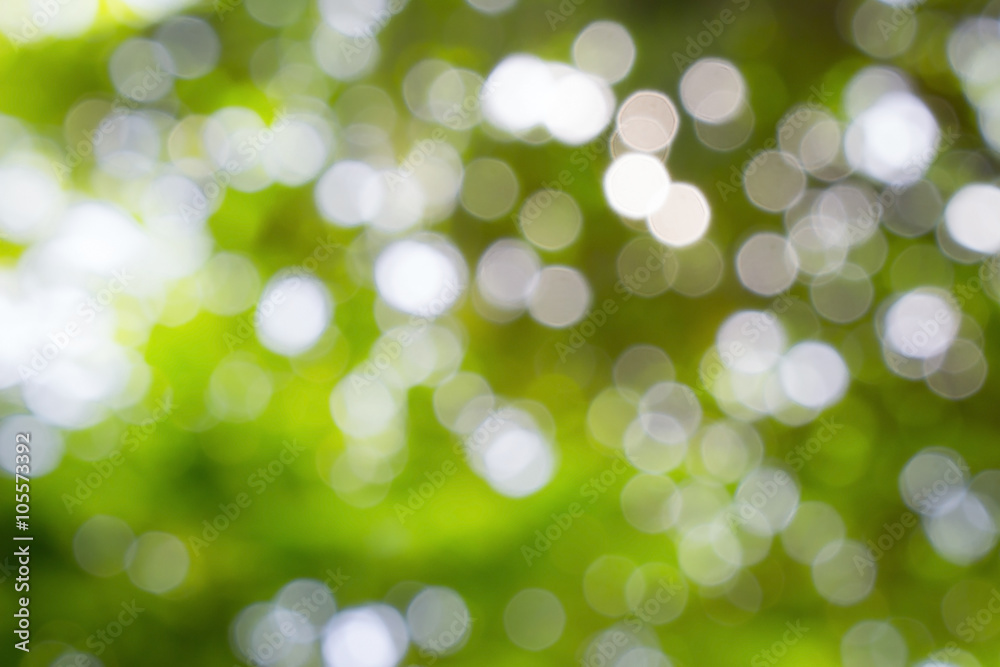 Obraz premium abstract background bokeh nature, defoucused