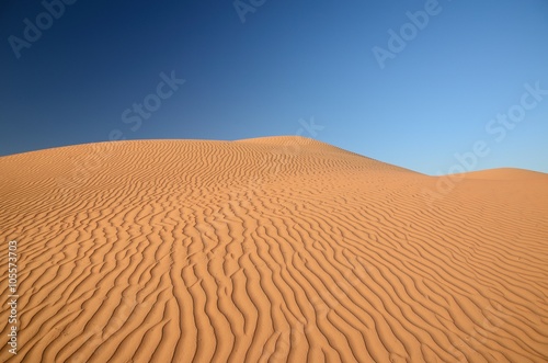 Rippled sand dunes